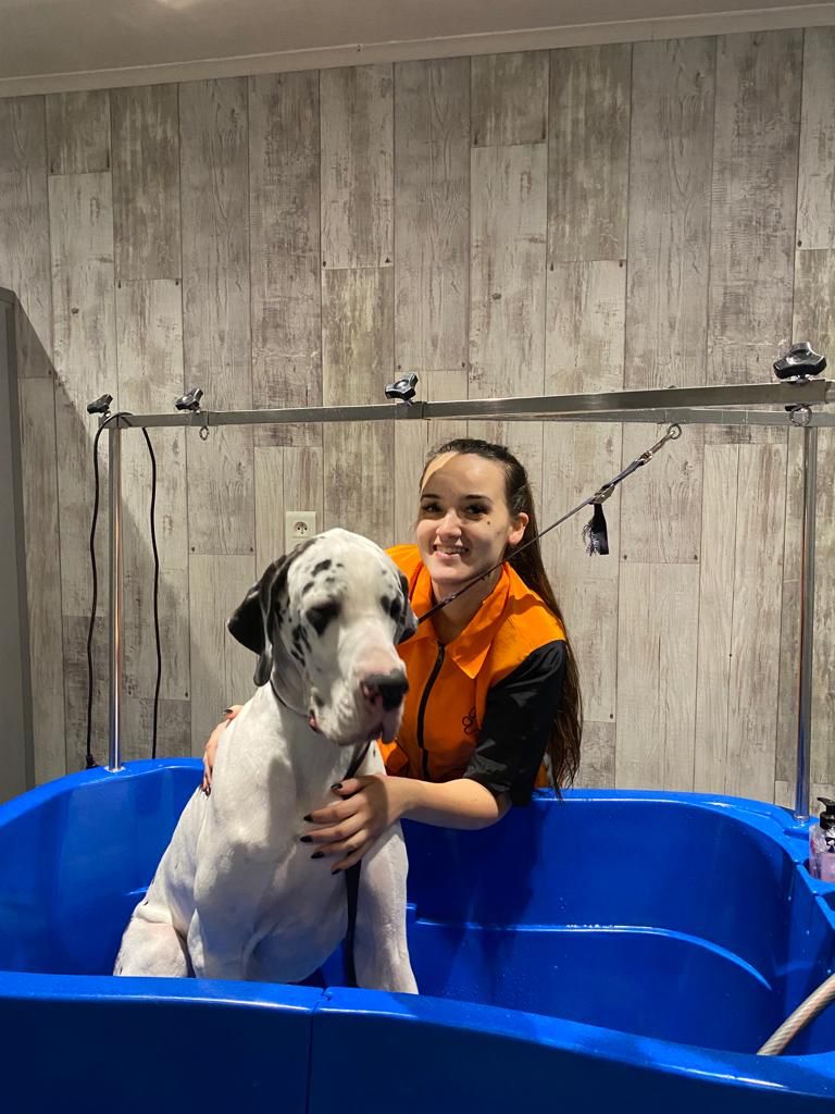 Trimsalon faciliteiten