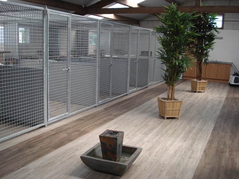 Kattenhotel kennel