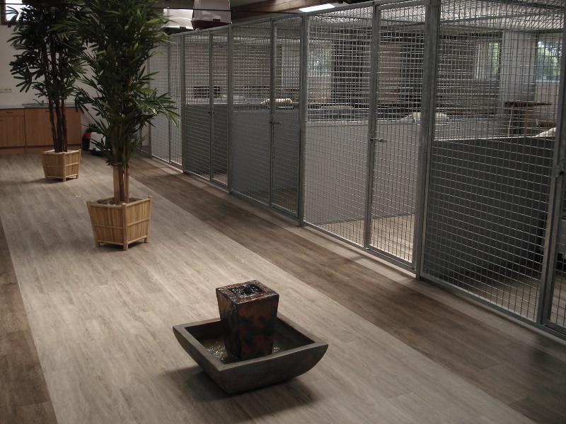 Kattenhotel binnenruimte