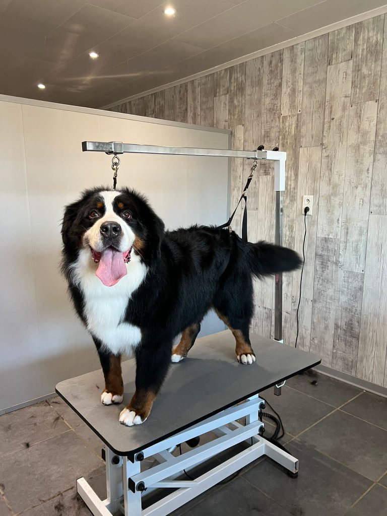 Trimsalon verzorging