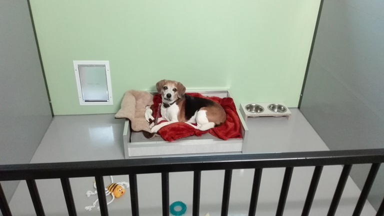 Hoeve Deluxe buitenloop