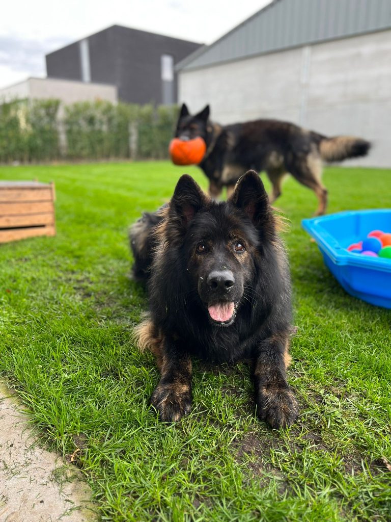 Wandel en spel speeltoestellen