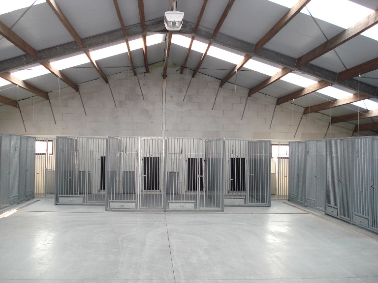 Hondenhotel verblijf