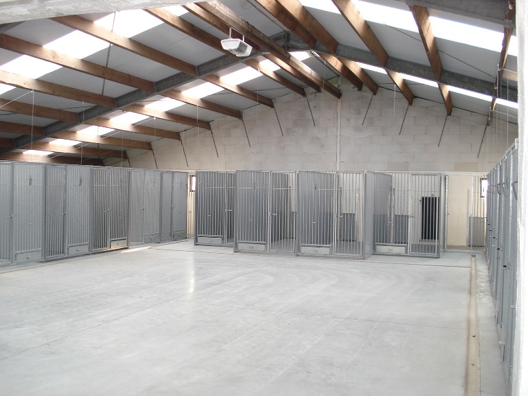 Hondenhotel buitenruimte