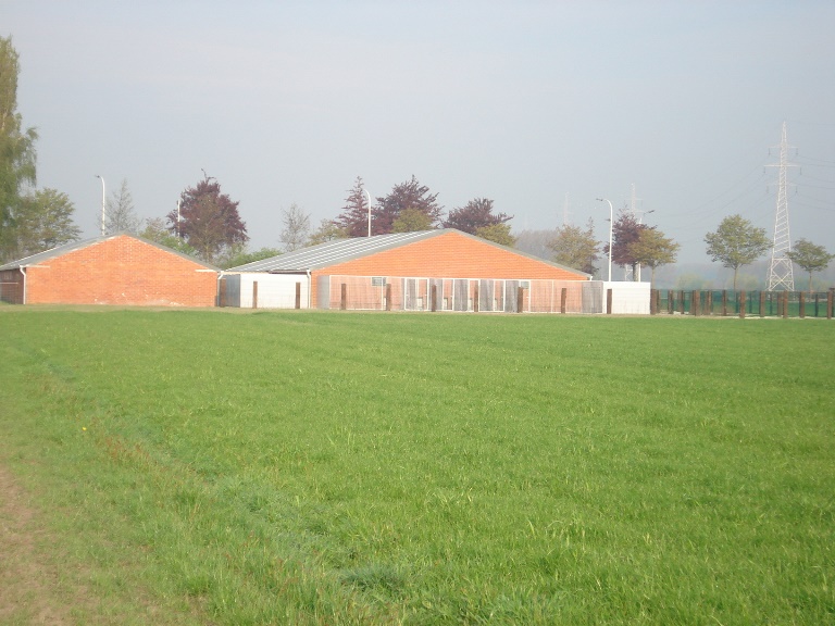 Hondenhotel speelweide